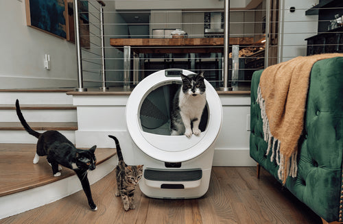 Litter-Robot® 5 Pro